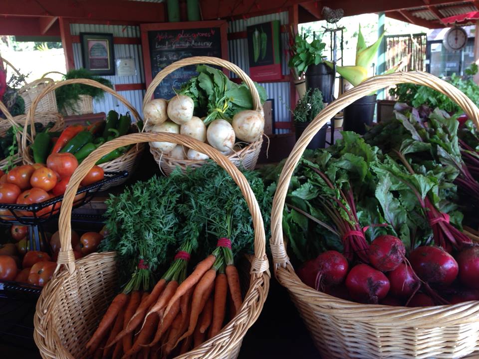 Kumu Farms » Conscious Maui