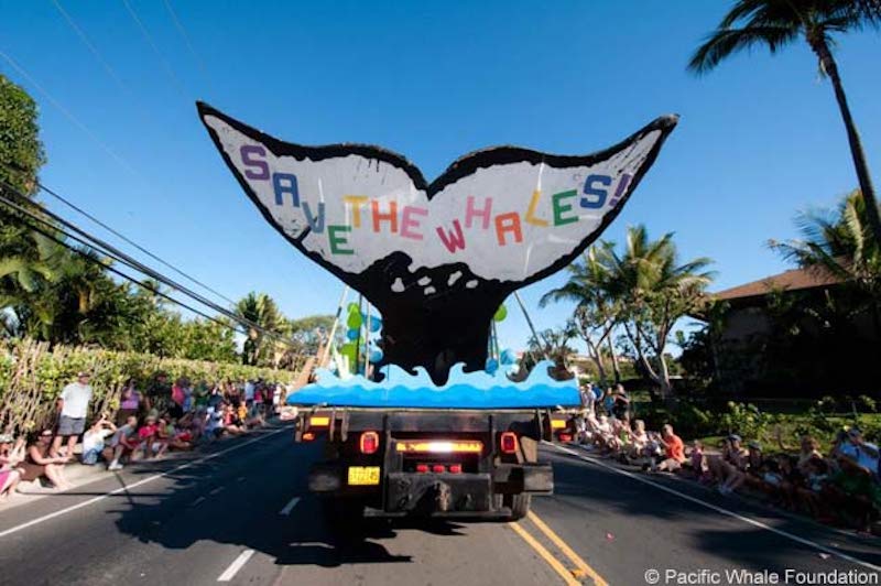 Whale Day & Parade of the Whales » Conscious Maui